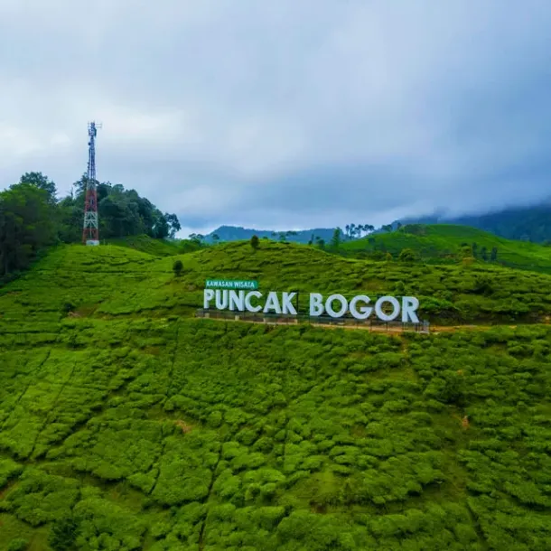 Ilustrasi Pemandangan Puncak Bogor Jawa Barat